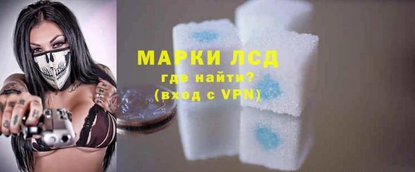 спиды Гвардейск